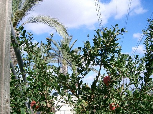 מרכז מבקרים - "מלוא הטנא"