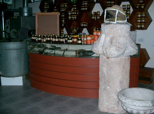 מרכז מבקרים - 