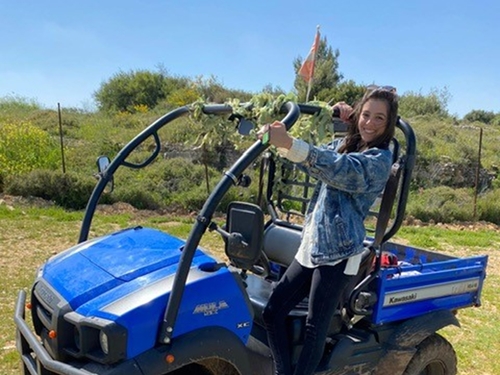 טרקטורוני ירושלים