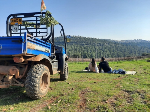 טרקטורוני ירושלים