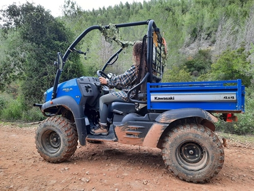 טרקטורוני ירושלים