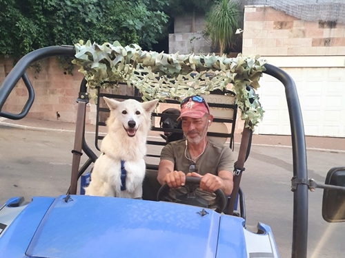 טרקטורוני ירושלים