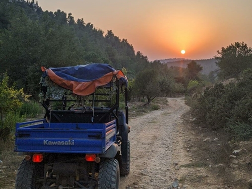 טרקטורוני ירושלים