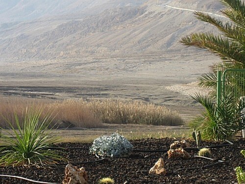 חוף מינרל תיירות מצפה שלם