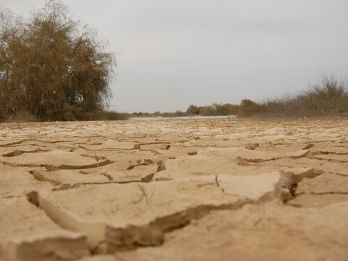 גלבוע גולן - מורה דרך