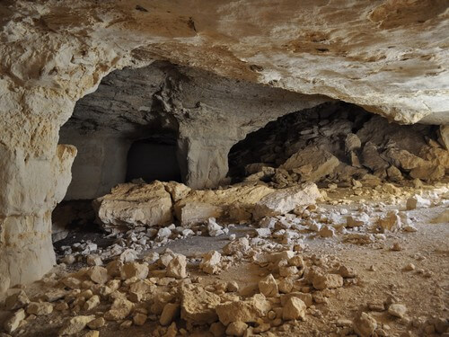 גלבוע גולן - מורה דרך