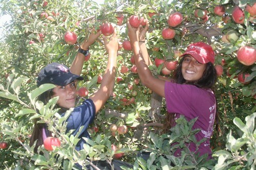 תיירות עין זיוון
