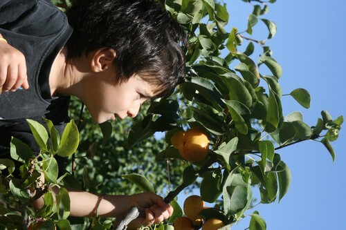 תיירות עין זיוון