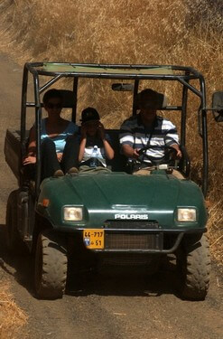 תיירות עין זיוון