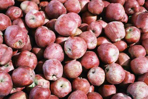 תיירות עין זיוון