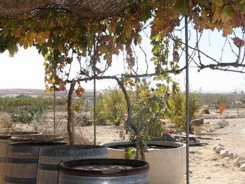 יקב בוטיק חוות רוטה