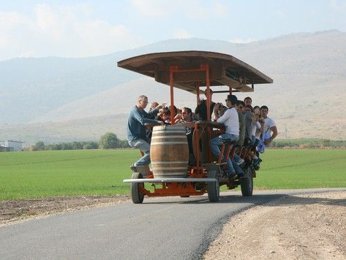 פארק המעיינות