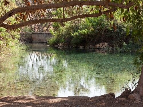 פארק המעיינות