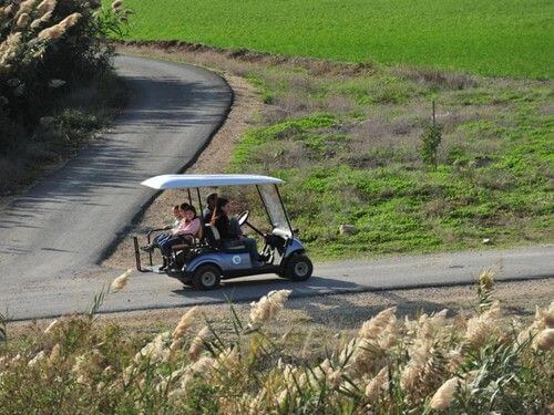 פארק המעיינות