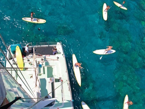 surf house-סרפ האוס