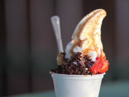 יוגורטיה עין יהב