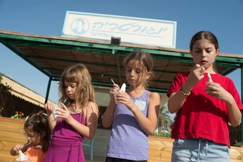 יוגורטיה עין יהב