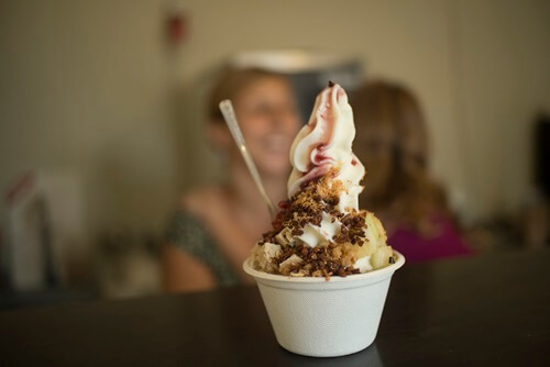 יוגורטיה עין יהב