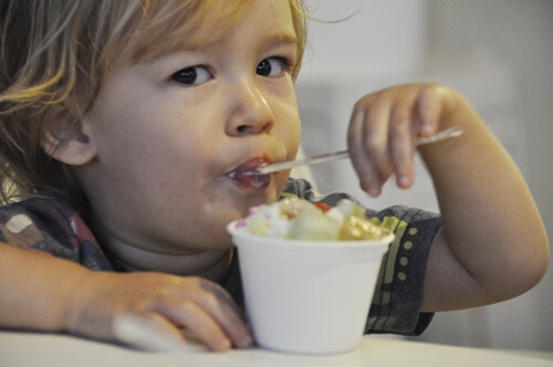 יוגורטיה עין יהב