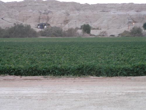 חאן פאטה מורגנה -סיורים וסדנאות 