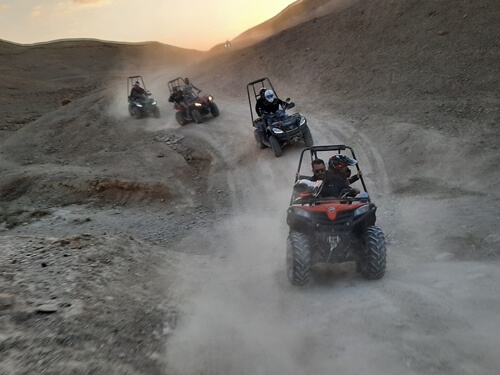 טרקטורוני כלנית