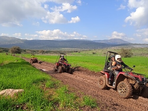 טרקטורוני כלנית