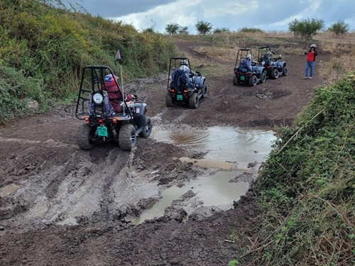 טרקטורוני כלנית