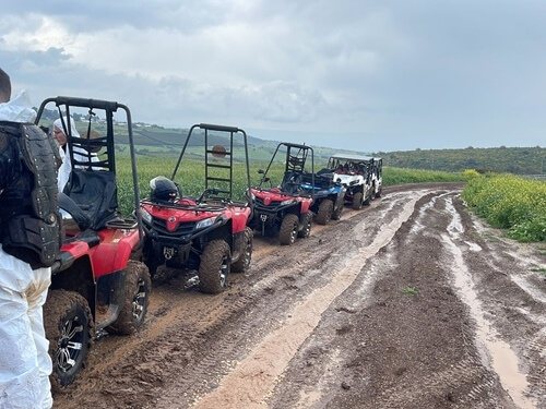 טרקטורוני כלנית