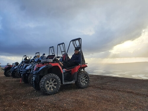 טרקטורוני כלנית