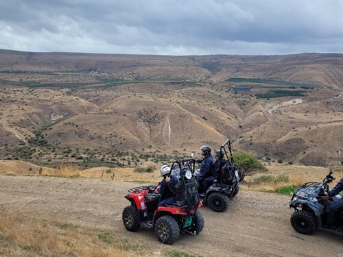 טרקטורוני כלנית