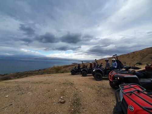 טרקטורוני כלנית