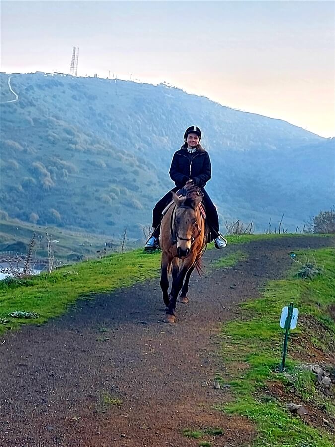 חוות הבוקרים מרום גולן