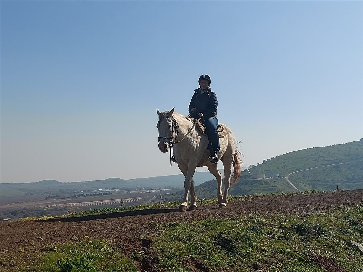 חוות הבוקרים מרום גולן