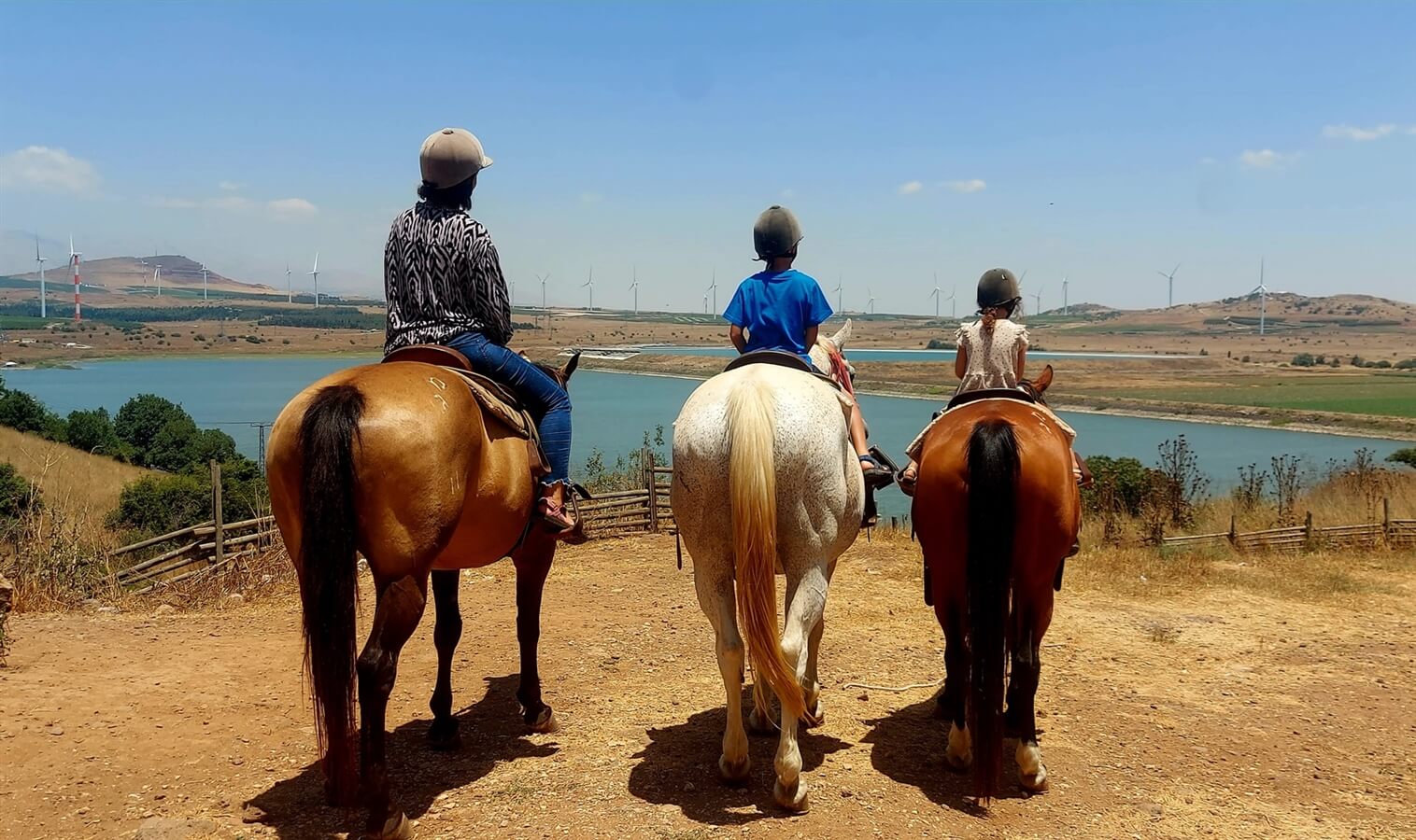 חוות הבוקרים מרום גולן