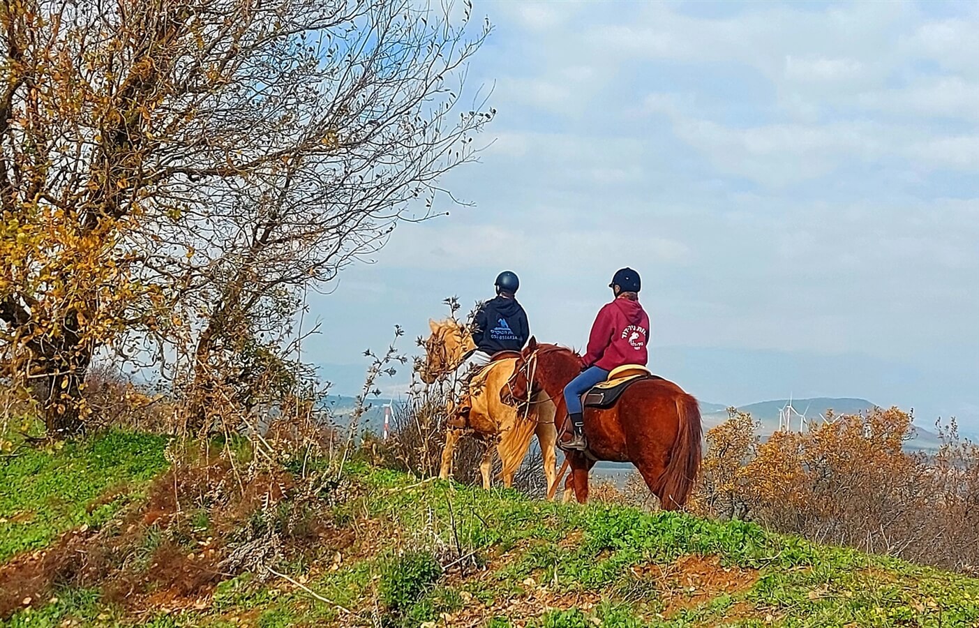 חוות הבוקרים מרום גולן