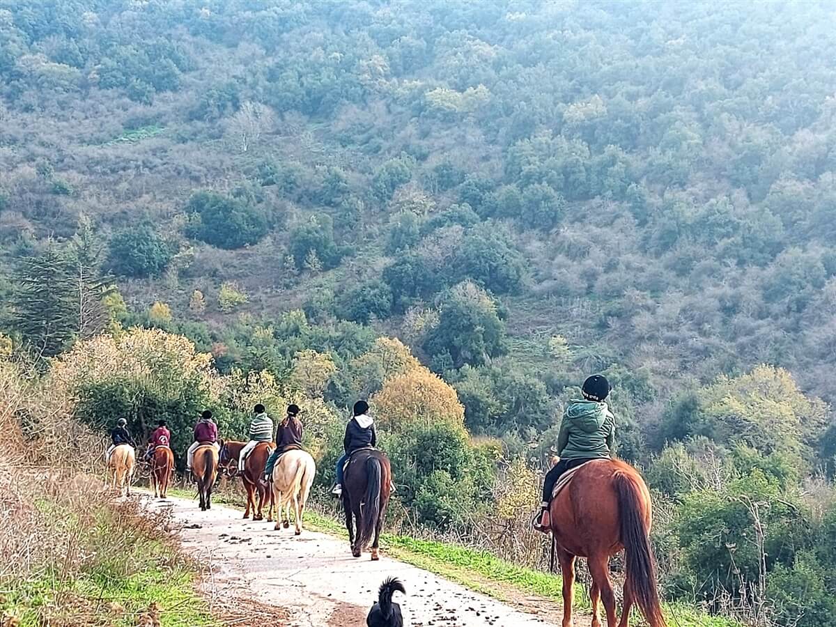חוות הבוקרים מרום גולן