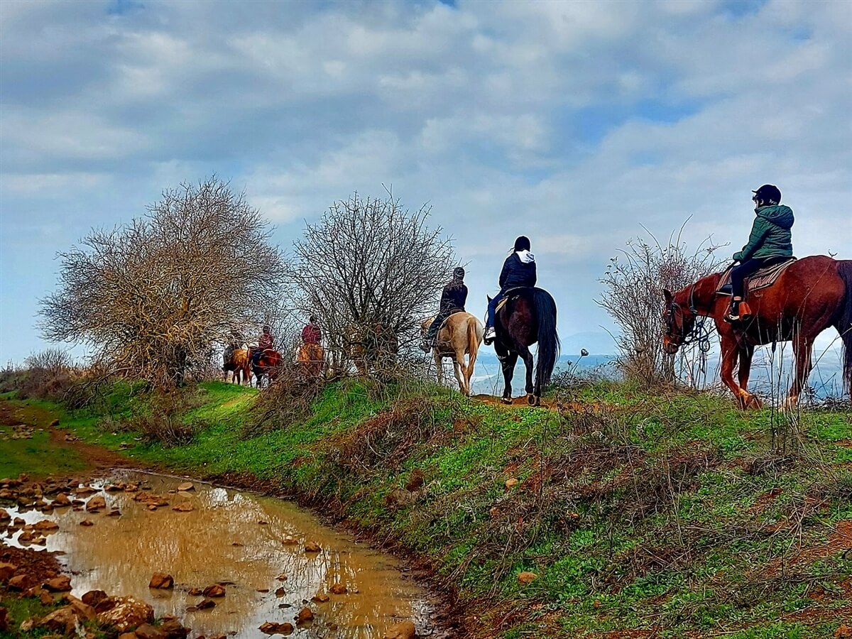 חוות הבוקרים מרום גולן