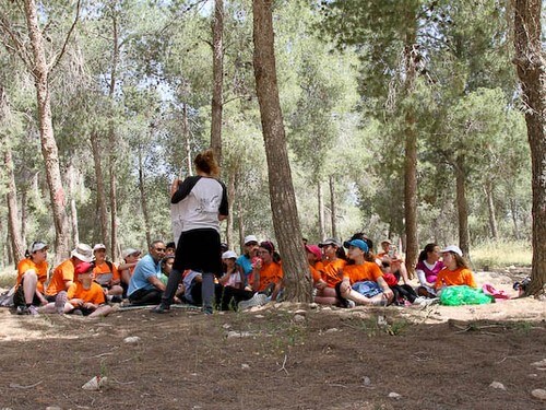 מרכז ג'ו אלון