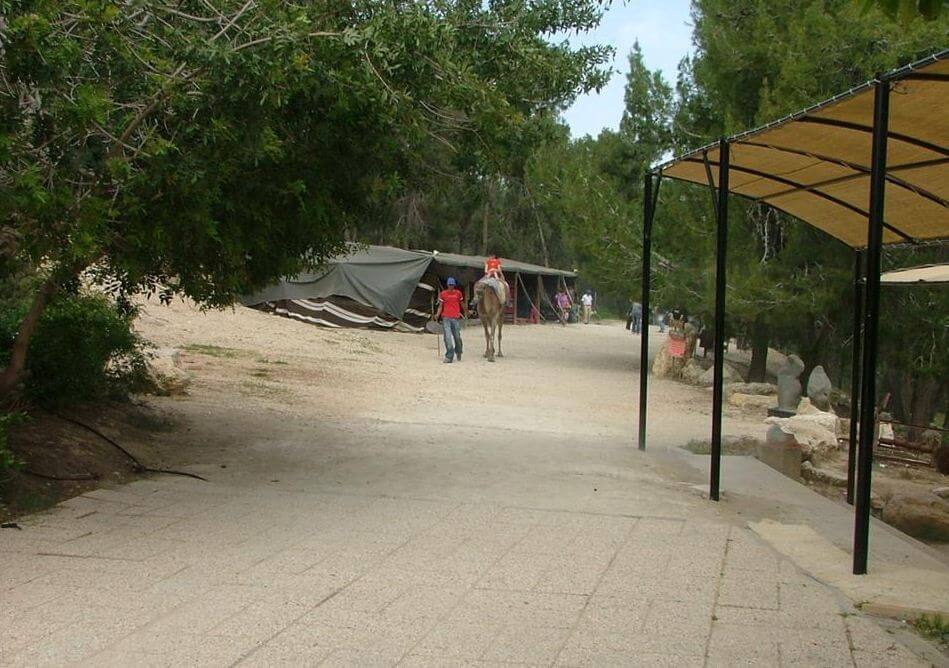 מרכז ג'ו אלון