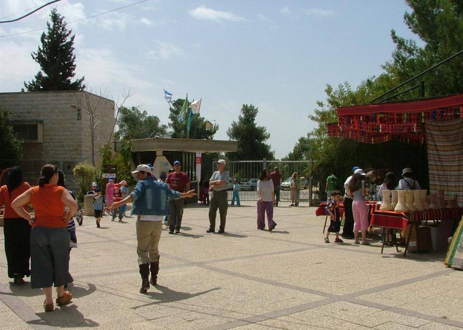 מרכז ג'ו אלון