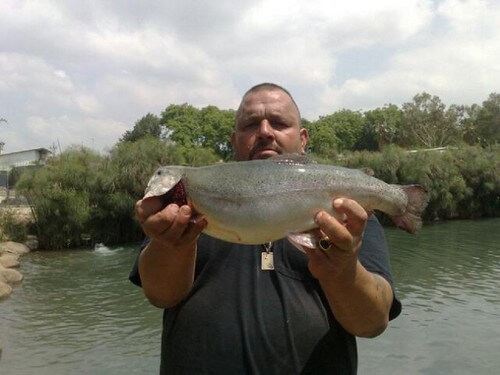 פארק דייג דפנה