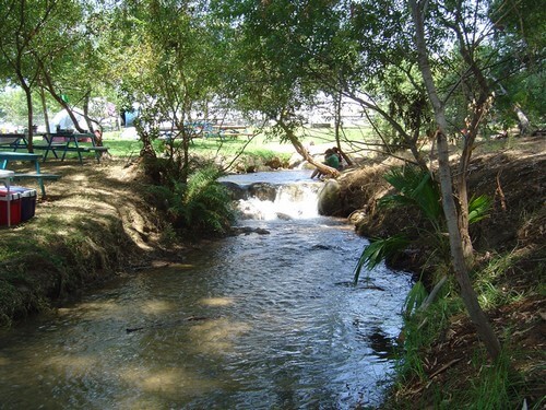 פארק דייג דפנה