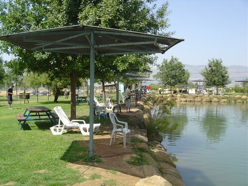 פארק דייג דפנה