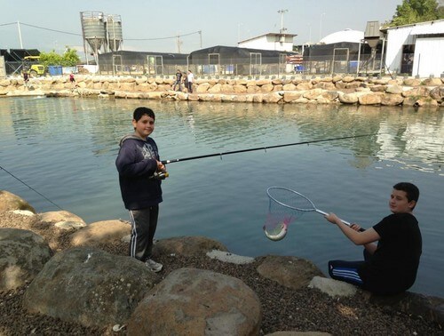 פארק דייג דפנה