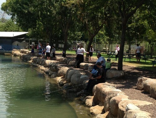 פארק דייג דפנה