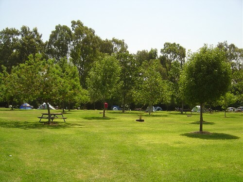 פארק דייג דפנה