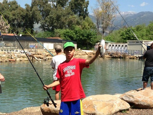 פארק דייג דפנה