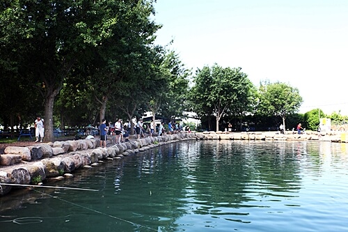 פארק דייג דפנה