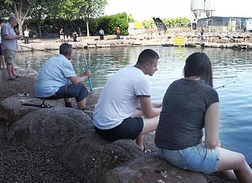 פארק דייג דפנה