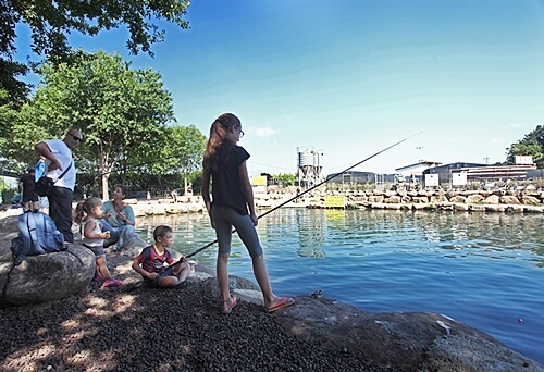 פארק דייג דפנה